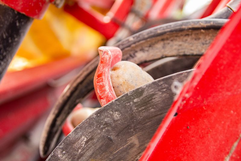 Aardappelen Poten En Oogsten | Van Eijck Agro, Grond & Groen